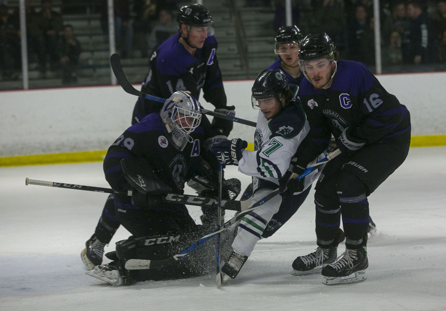 Hockey Bulls vs. Wausau 12